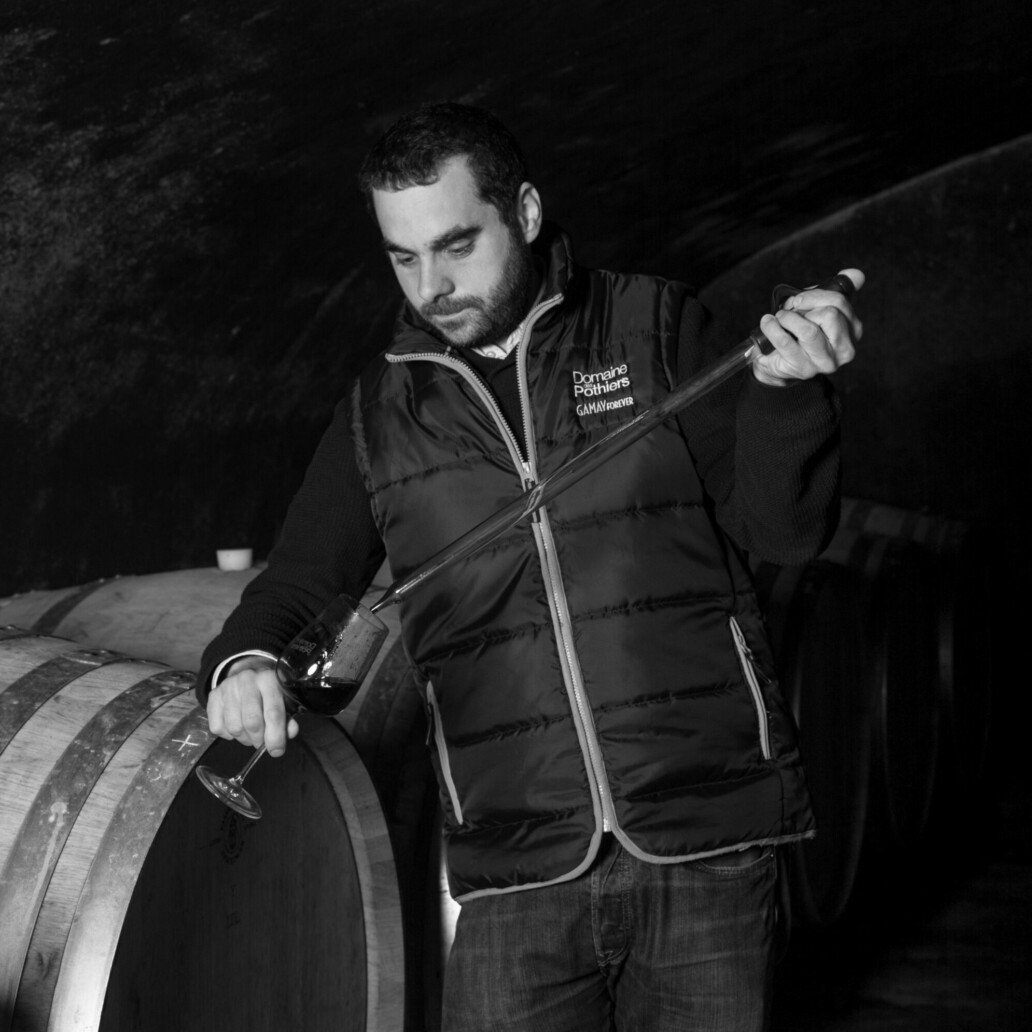 Interview de Romain Paire, Domaine des Pothiers, partenaire de la cuvée « Banana Caaaaaaat » 😻
