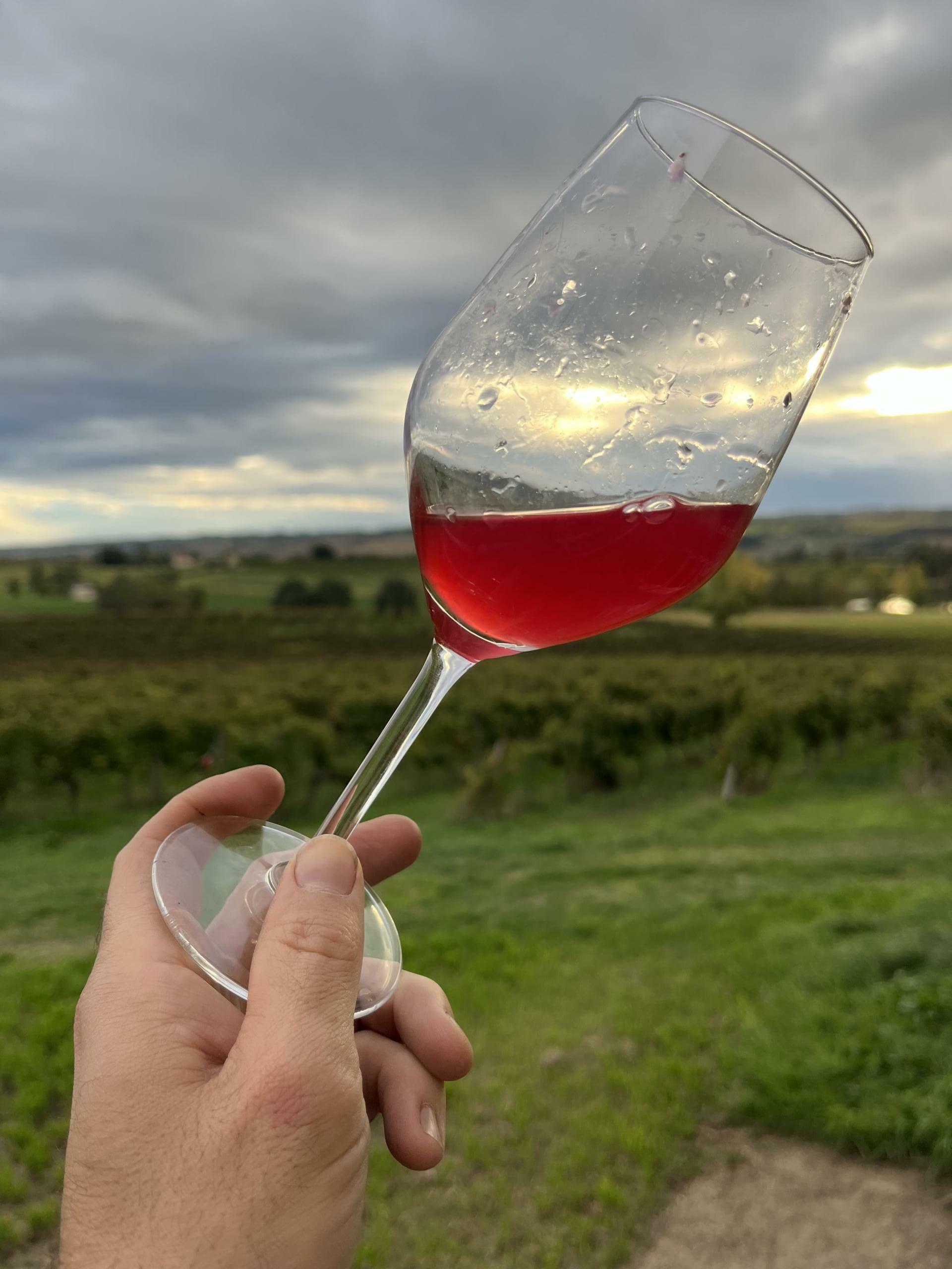 Qu’est-ce qu’un vin non-filtré ?