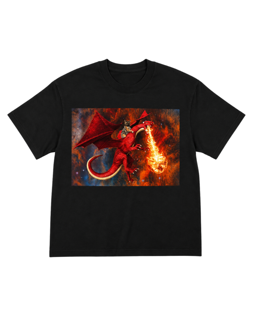 T-shirt noir Dragon Riding Caaaaaaat